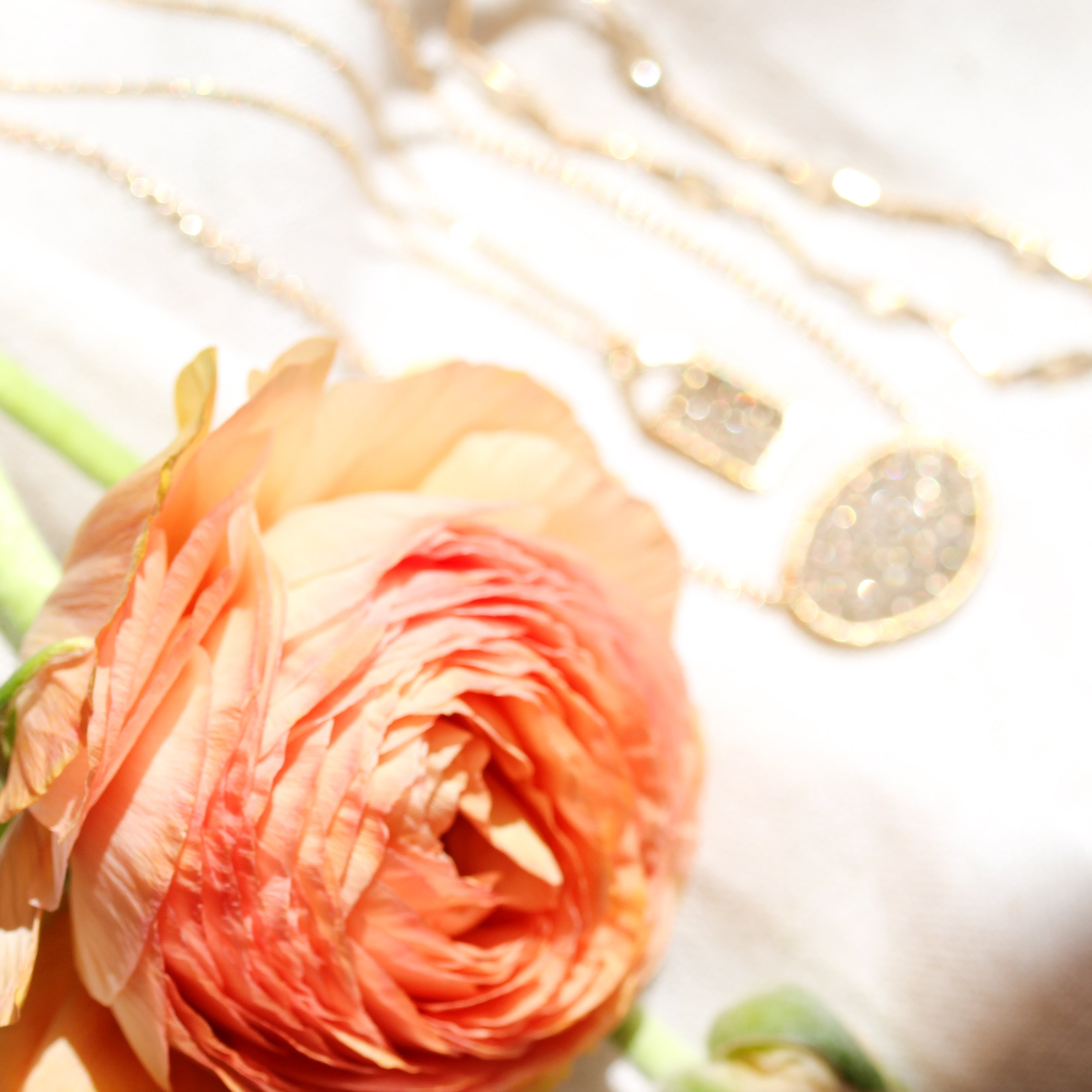 Gifts for Your Grad 🎓