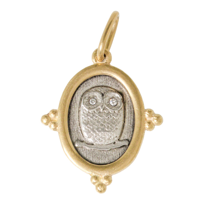 Baby Owl + North Star Charm