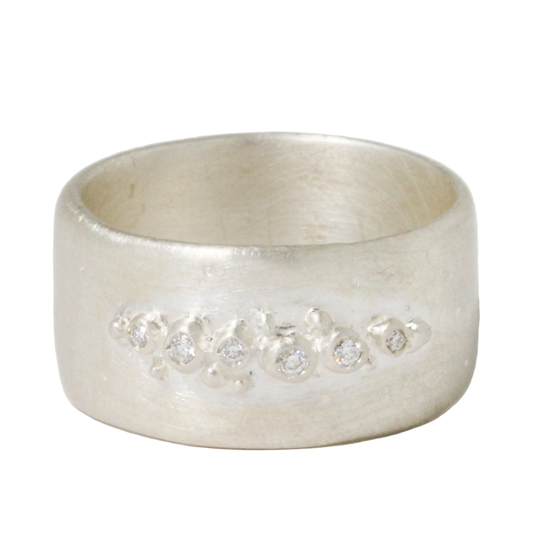 Encrusted Diamond Wide Basic Band-Branch
