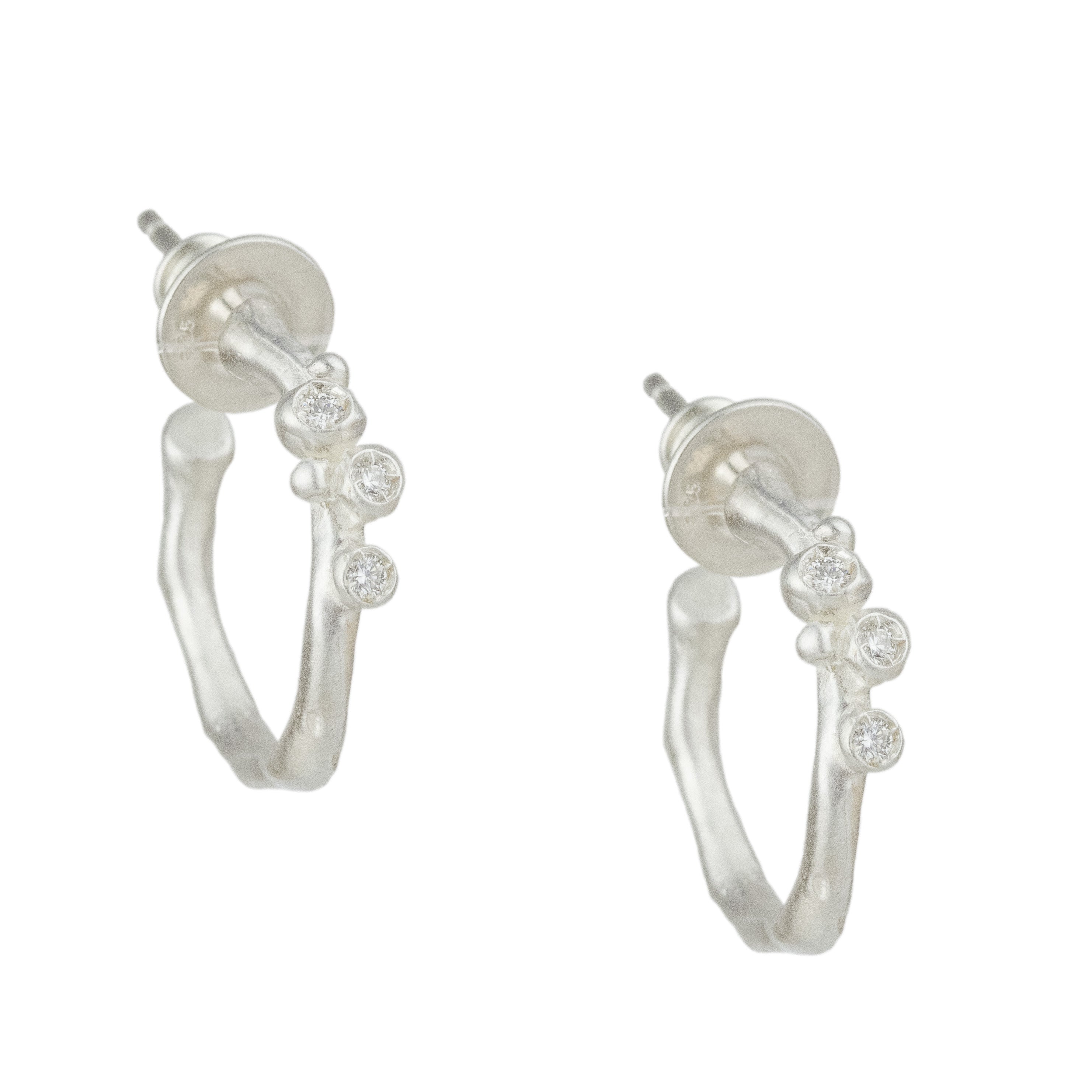 Encrusted Branch Hoops-Branch